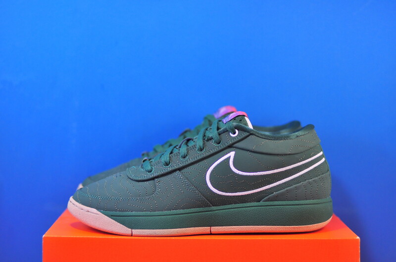 Кросівки Nike Book 1 FJ4249-300