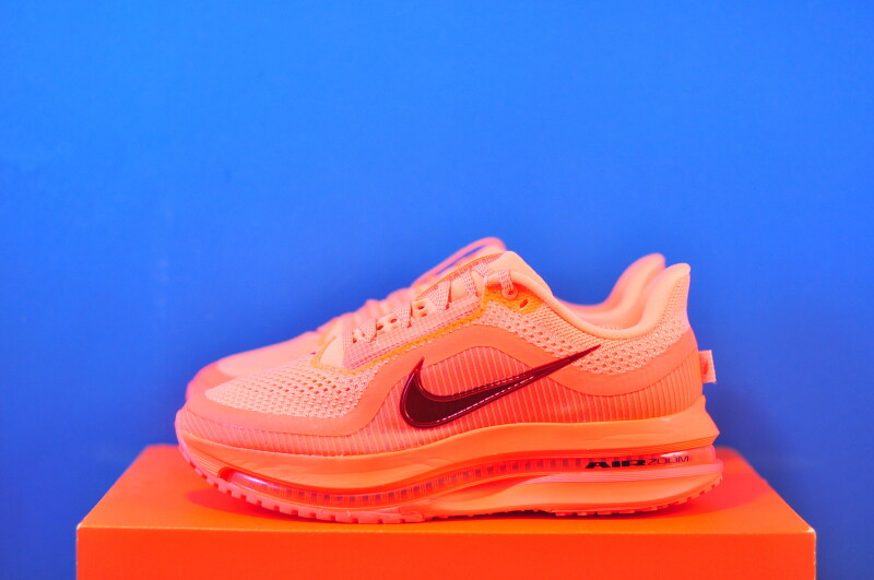 Кросівки Nike Pegasus Premium HQ2593-802