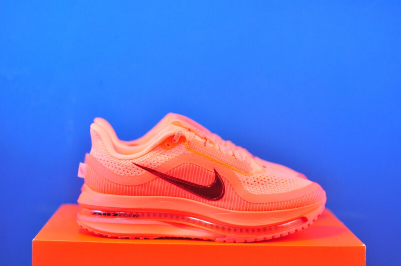 Кросівки Nike Pegasus Premium HQ2593-802 - Зображення 3