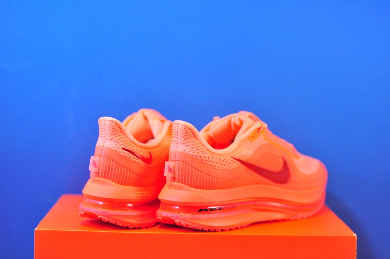 Кросівки Nike Pegasus Premium HQ2593-802 - Зображення 2