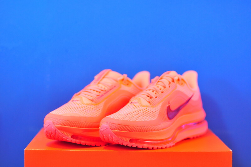 Кросівки Nike Pegasus Premium HQ2593-802 - Зображення 1