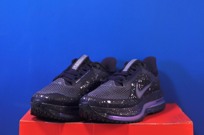 Кросівки Nike Pegasus Premium SE IH0861-500 - Зображення 1