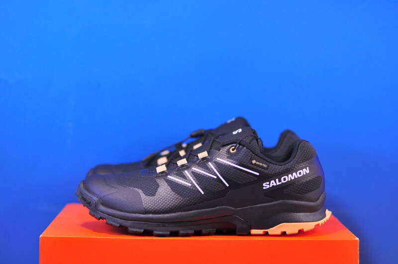 Кросівки Salomon XA Flyer GTX 477148