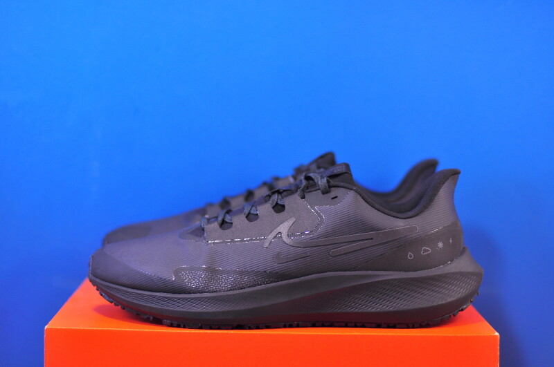 Кросівки Nike Air Zoom Pegasus 39 Shield Black DO7625-001