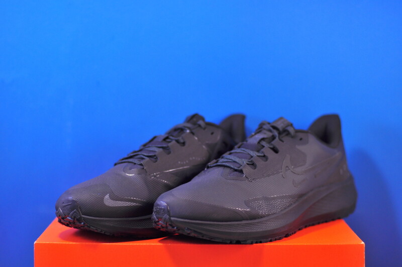 Кросівки Nike Air Zoom Pegasus 39 Shield Black DO7625-001 - Зображення 1