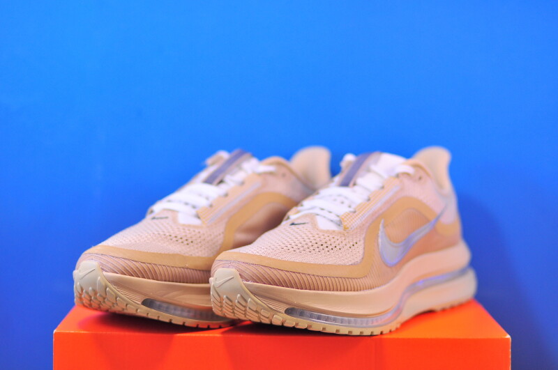 Кросівки Nike Pegasus Premium IH4369-200 - Зображення 1