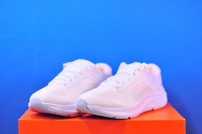 Кросівки Nike Air Zoom Structure 24 DA8570-101 - Зображення 1