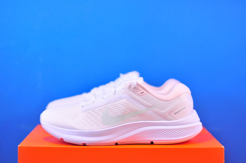 Кросівки Nike Air Zoom Structure 24 DA8570-101