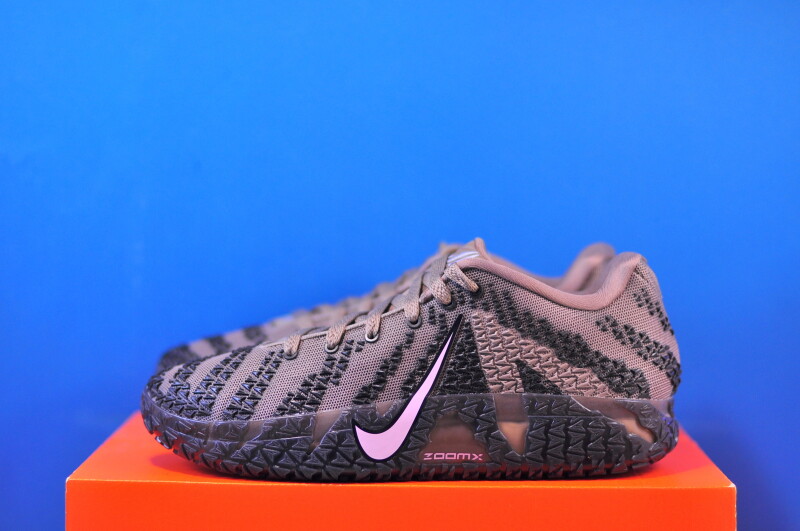 Кросівки Nike Ja 3 “Mink Brown” HF2793-200