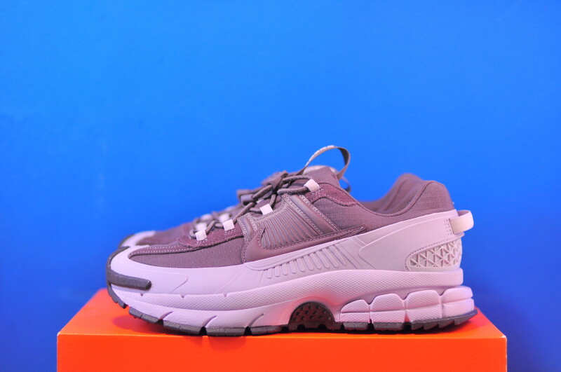 Кросівки Nike Zoom Vomero 5 Roam Tattoo Particle Rose HQ2181-501