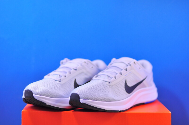 Кросівки Nike Air Zoom Structure 24 DA8535-004 - Зображення 1