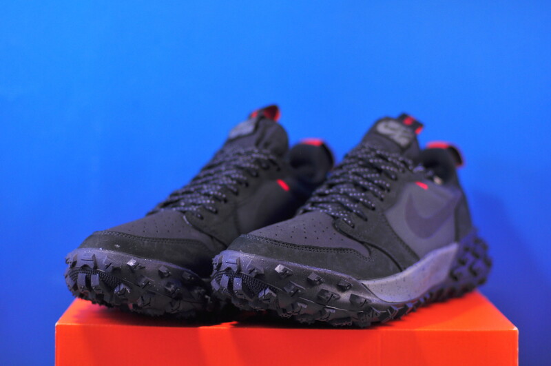 Кросівки Nike Air Jordan 1 Element Low Gore-Tex FV4227-002 - Зображення 1