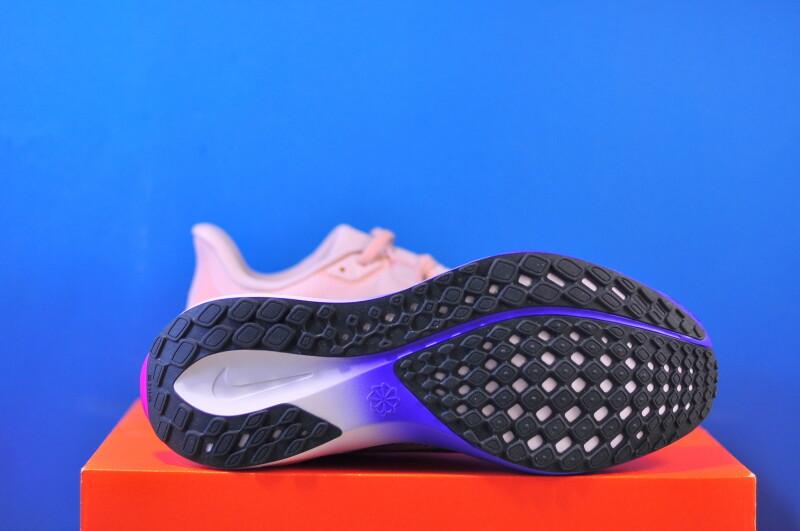 Кросівки Nike Air Zoom Pegasus 41 HJ7037-600 - Зображення 4