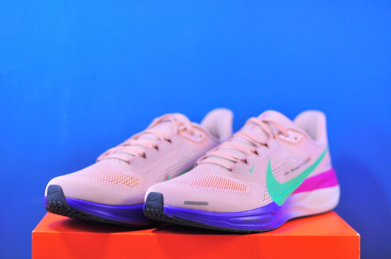 Кросівки Nike Air Zoom Pegasus 41 HJ7037-600 - Зображення 1