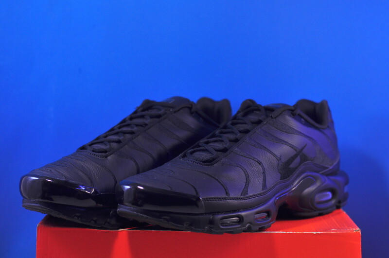 Кросівки Nike Air Max Plus Black AJ2029-001 - Зображення 1