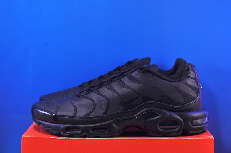 Кросівки Nike Air Max Plus Black AJ2029-001