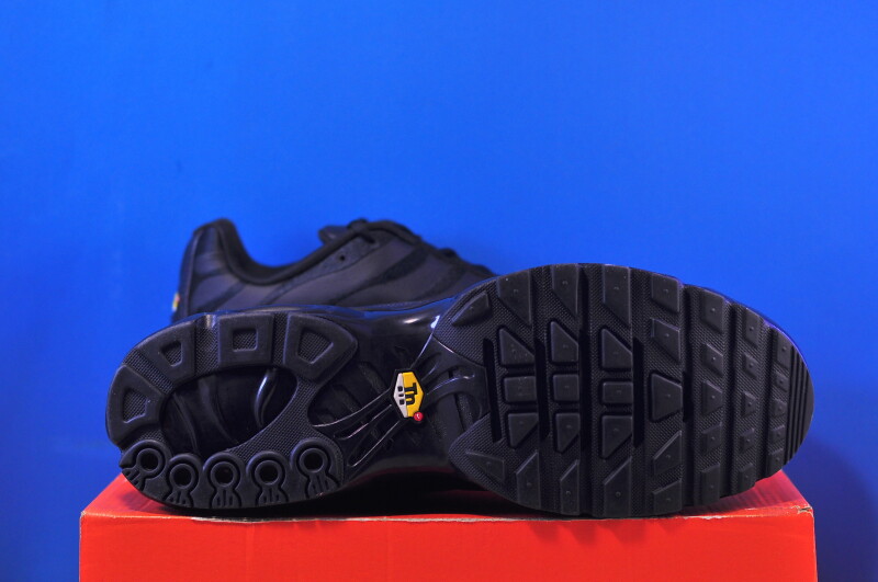 Кросівки Nike Air Max Plus Black AJ2029-001 - Зображення 4