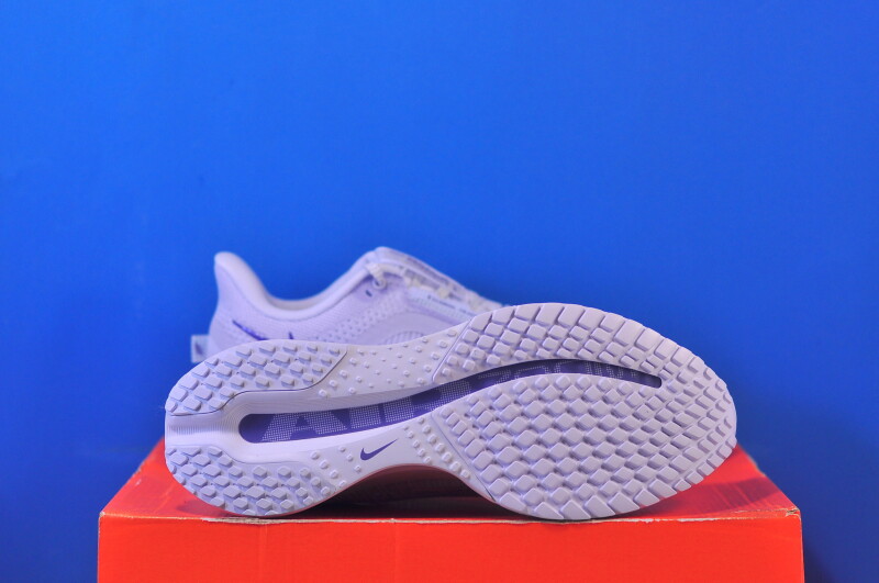 Кросівки Nike Air Zoom Pegasus Premium HQ2593-006 - Зображення 4