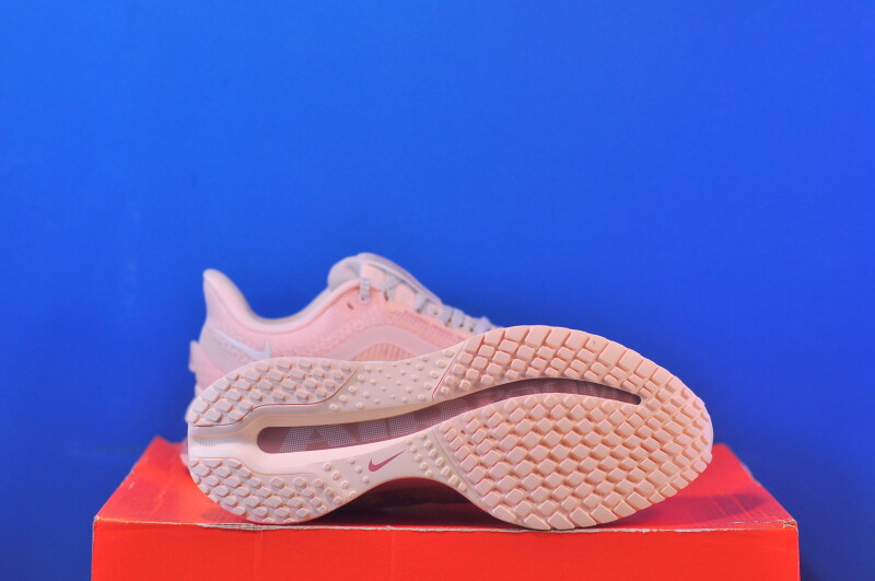 Кросівки Nike Air Zoom Pegasus Premium HQ2593-801 - Зображення 4