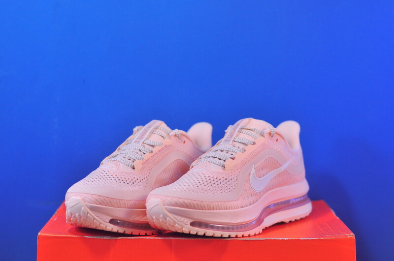 Кросівки Nike Air Zoom Pegasus Premium HQ2593-801 - Зображення 1