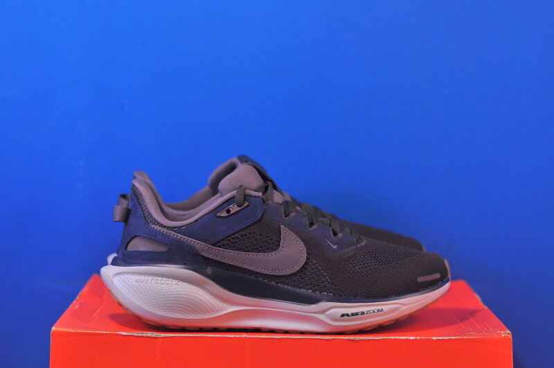 Кросівки Nike Air Zoom Pegasus 41 SP HQ6025-200 - Зображення 3