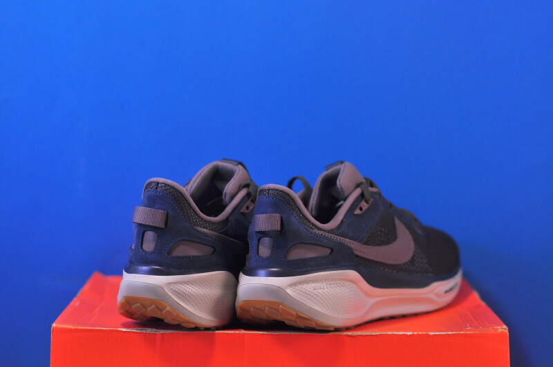 Кросівки Nike Air Zoom Pegasus 41 SP HQ6025-200 - Зображення 2