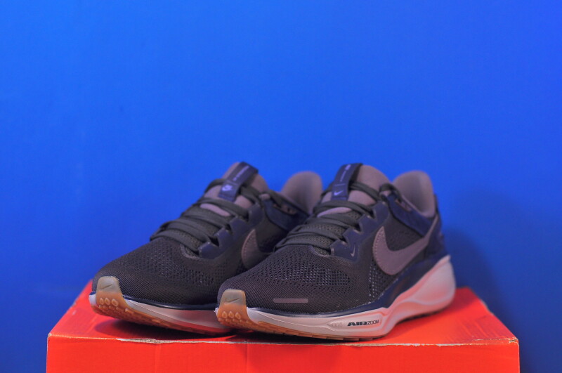 Кросівки Nike Air Zoom Pegasus 41 SP HQ6025-200 - Зображення 1