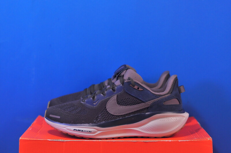 Кросівки Nike Air Zoom Pegasus 41 SP HQ6025-200