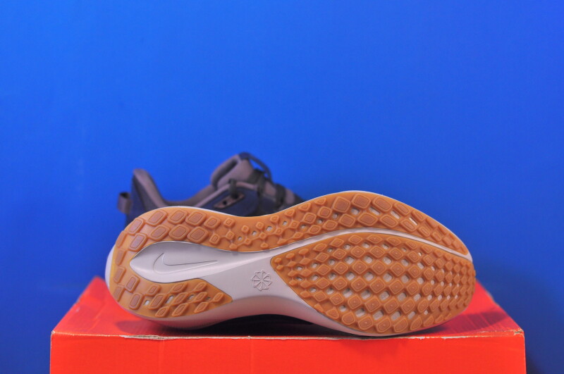 Кросівки Nike Air Zoom Pegasus 41 SP HQ6025-200 - Зображення 4