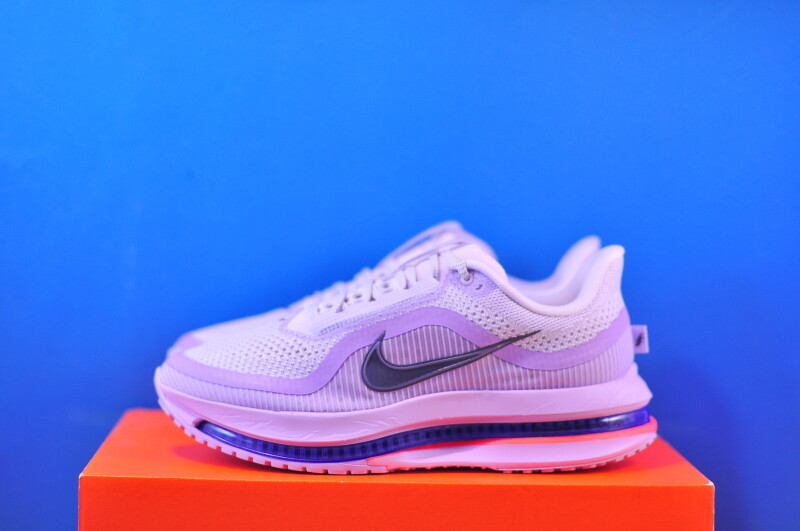 Кросівки Nike Pegasus Premium Road Running HQ2593-500