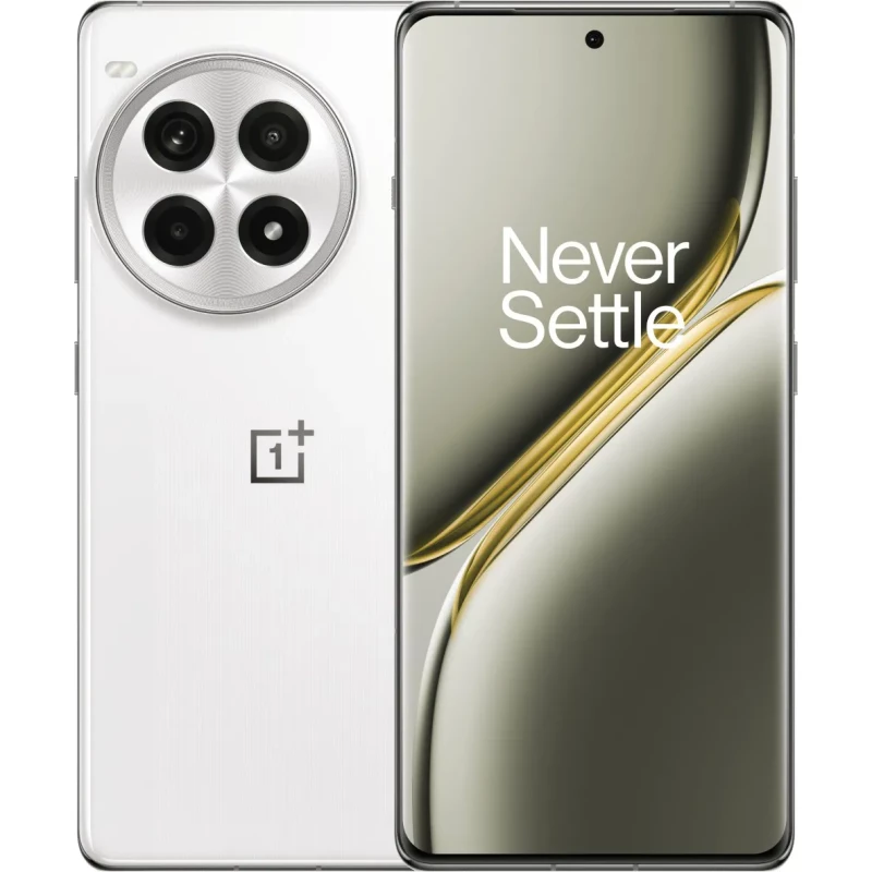 OnePlus Ace 3 Pro PJX110 16/512Gb Silver