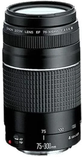 Canon EOS 2000D kit (18-55 + 75-300) (2728C021) - Зображення 3