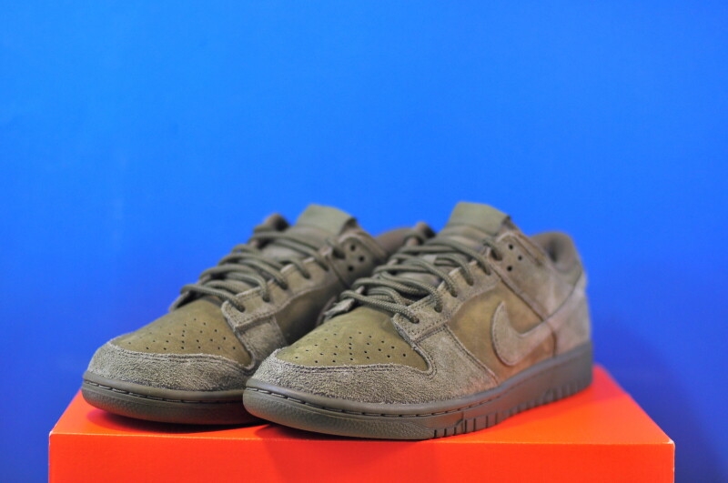 Кросівки Nike Dunk Low Retro Camo IB6651-300 - Зображення 1
