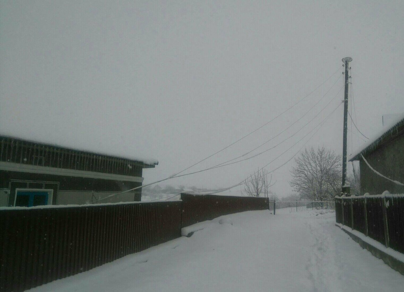 У селі на Тернопільщині попадали електростовпи, люди від..., фото-2 У селі на Тернопільщині попадали електростовпи, люди від суботи сидять у темряві (ФОТО), фото-2