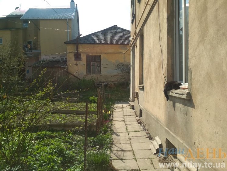 Кіт на осонні, замок принцеси і сліди Йеті: один день у кн..., фото-6 Кіт на осонні, замок принцеси і сліди Йеті: один день у княжому місті на Тернопільщині (ФОТО), фото-6