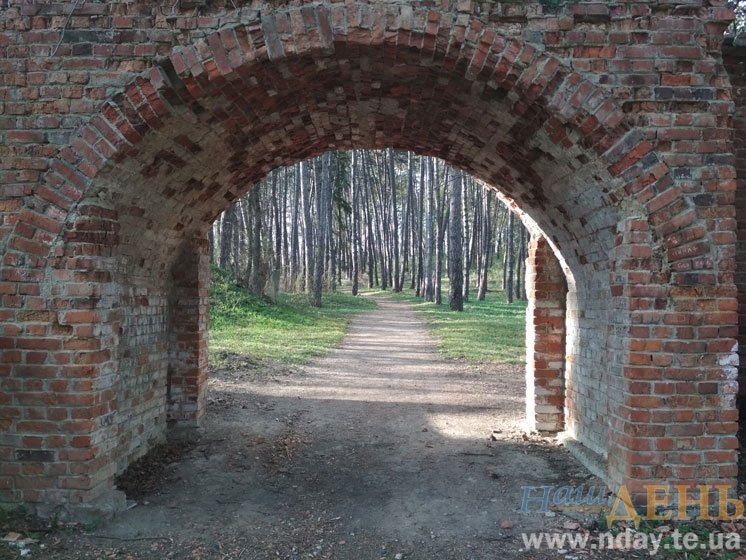 Кіт на осонні, замок принцеси і сліди Йеті: один день у кн..., фото-1 Кіт на осонні, замок принцеси і сліди Йеті: один день у княжому місті на Тернопільщині (ФОТО), фото-1