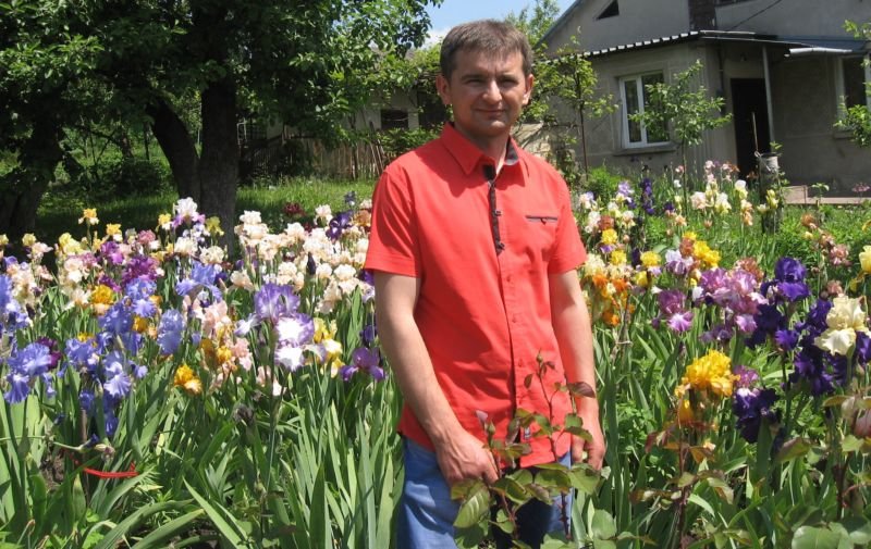 «Любов до ірисів успадкувала від бабусі і продовжила її спр..., фото-2 «Любов до ірисів успадкувала від бабусі і продовжила її справу»: у колекції тернополянки – понад 300 сортів цих квітів (ФОТО), фото-2