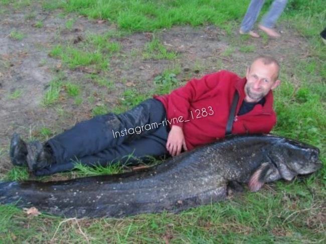 Рибалка спіймав величезного сома, завбільшки з людину (ФОТО..., фото-1 Рибалка спіймав величезного сома, завбільшки з людину (ФОТОФАКТ) , фото-1