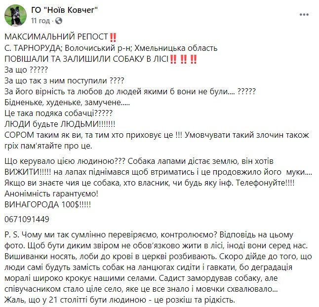 "Люди, що ви творите?!": пропонують винагороду за інформацію про жорстокого вбивцю, котрий прирік собаку на страшну смерть (ФОТО 18+), фото-2