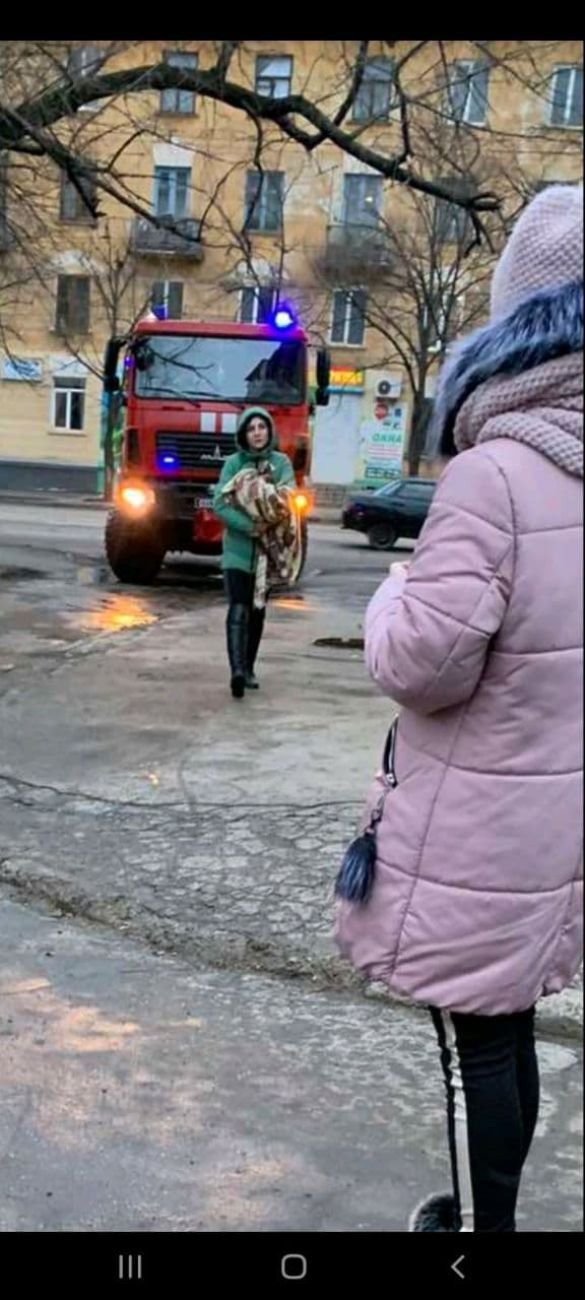 "Її ще можна врятувати!": кішка, яку рятувальники струменем..., фото-1 "Її ще можна врятувати!": кішка, яку рятувальники струменем води збили з дерева, дивом вижила (ВІДЕО, 18+), фото-1