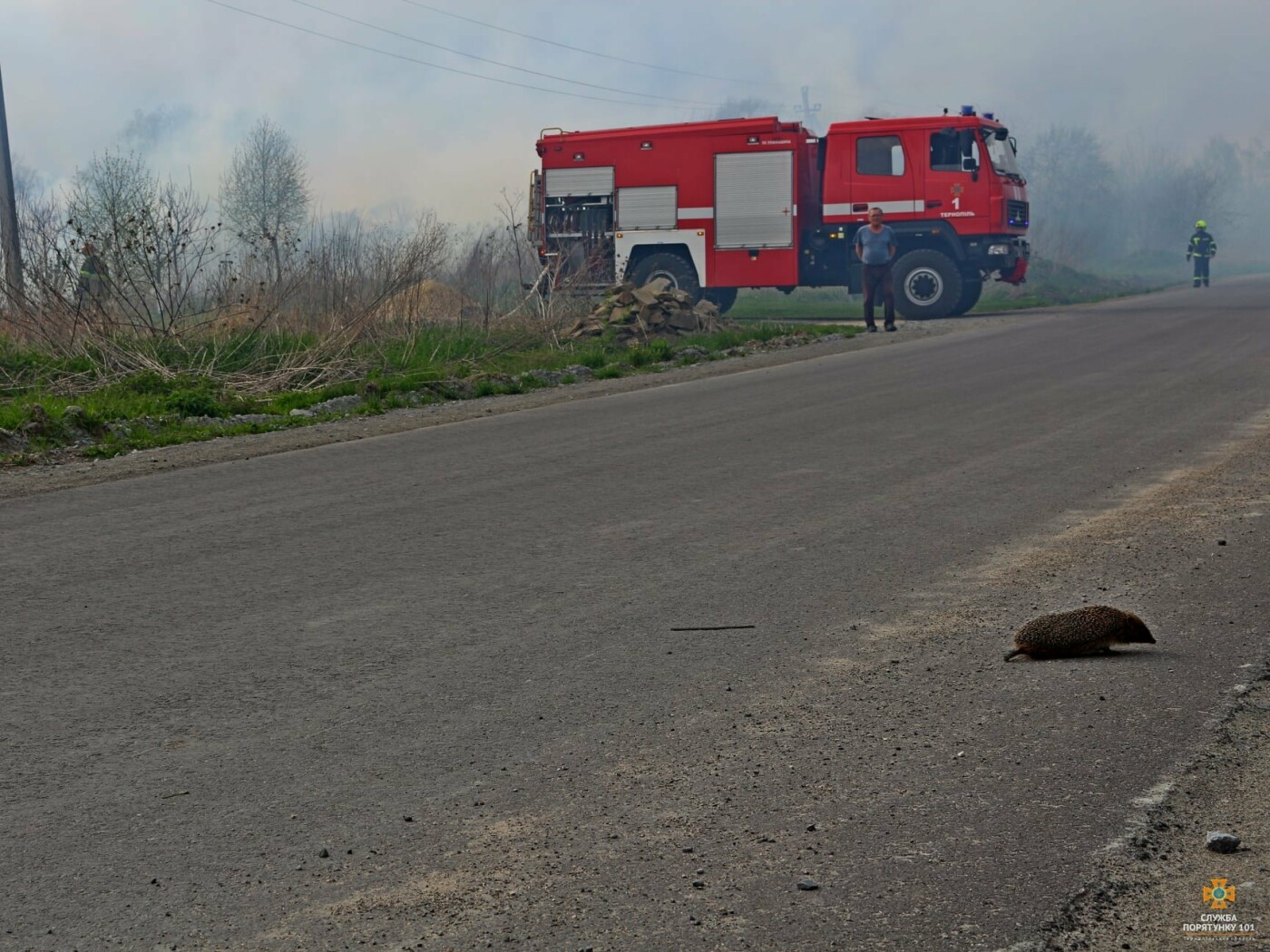 "Їжачок дивом врятувався": вогнеборці оприлюднили фото страшних наслідків пожежі поблизу Тернополя (ФОТО), фото-1