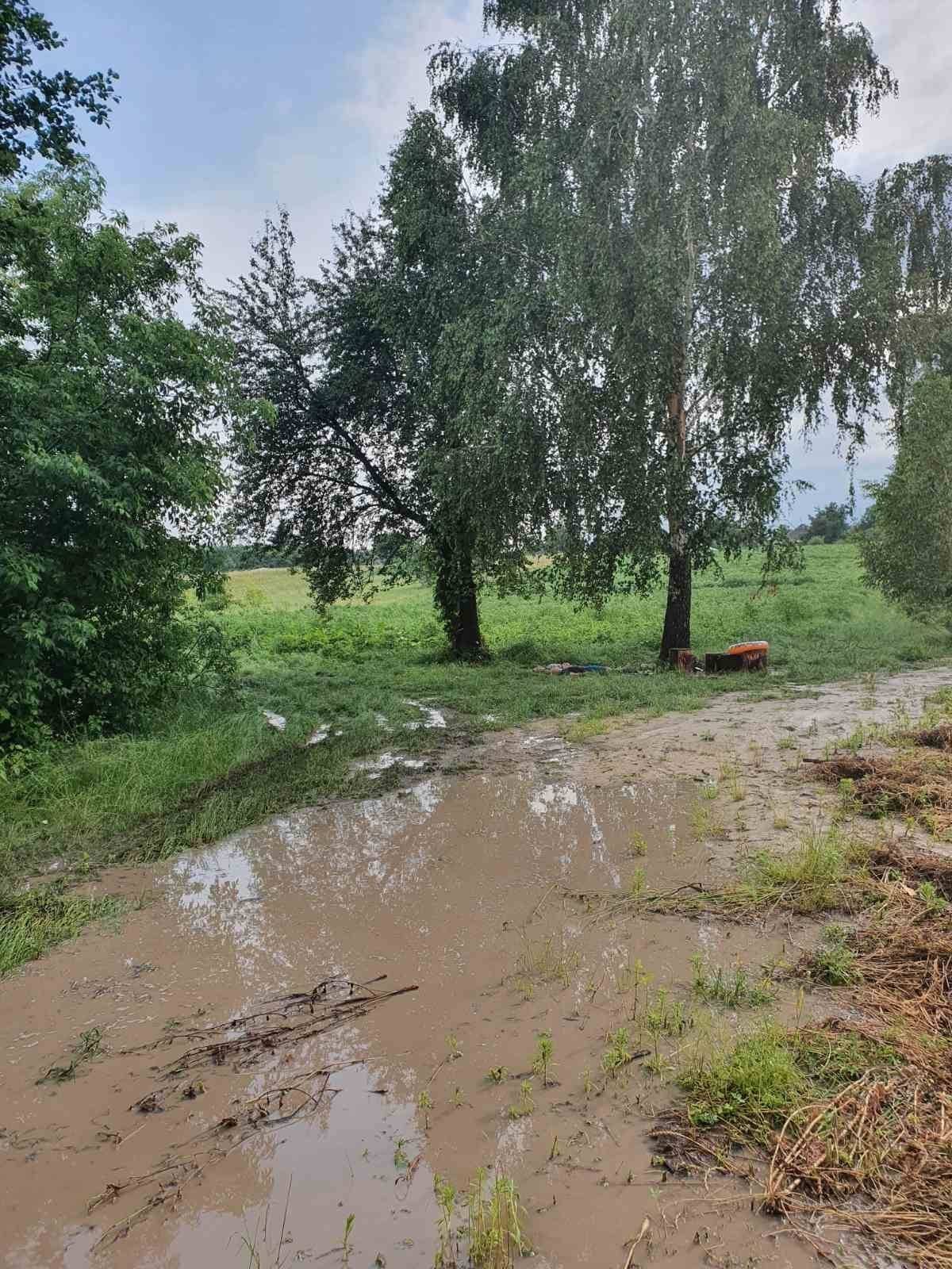 Страшна і несподівана смерть: блискавка вбила двох людей, котрі сховалися від грози під деревом (ФОТО 18+), фото-1