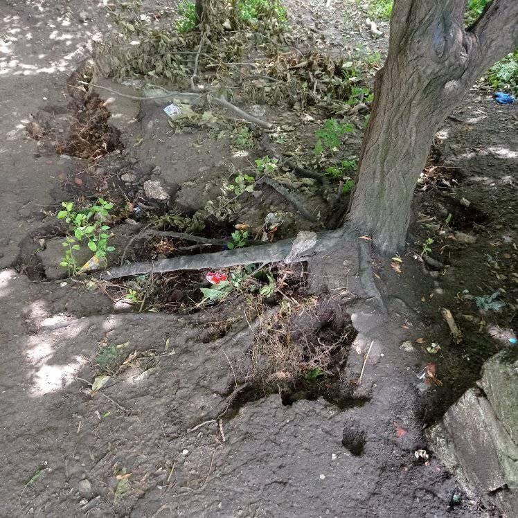 "Утворився яр у коліно": люди безвідповідально злили застояну воду, тернополянин вимагає справедливості (ФОТО), фото-5