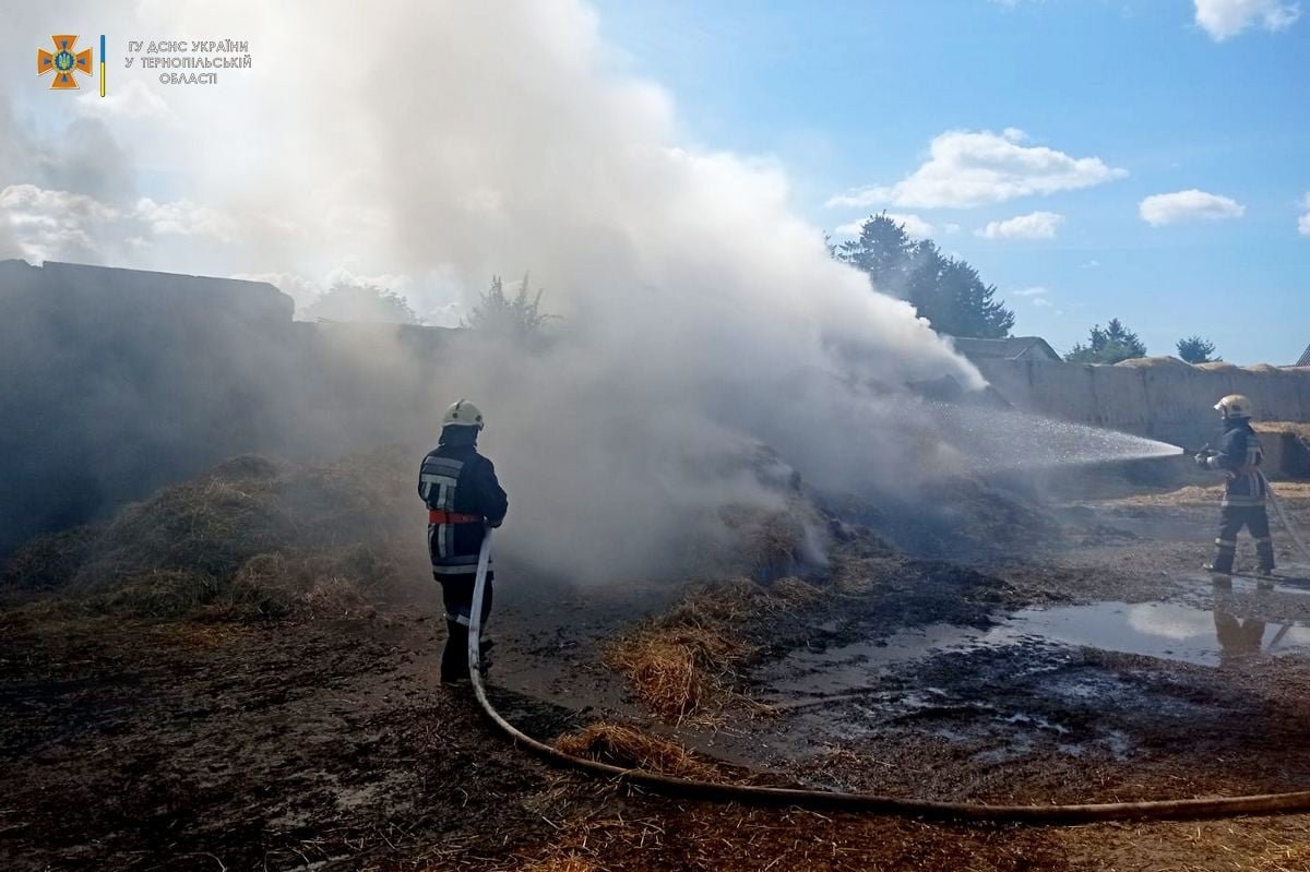 "Дим виднівся за багато кілометрів": на Тернопільщині сталася масштабна пожежа