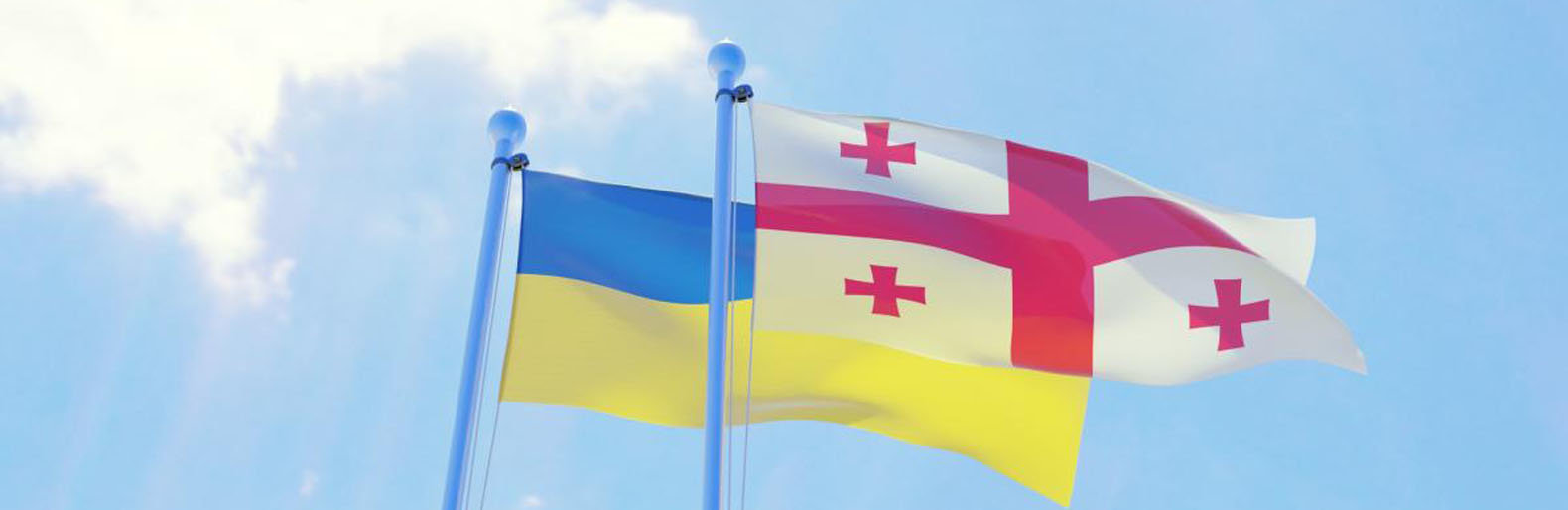 Грузія не переглядатиме партнерства з Україною Грузія не переглядатиме партнерства з Україною, Ірина Герман