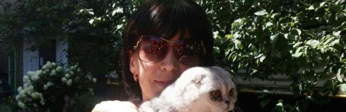 У Києві через два тижні після вибуху рятувальники знайшли кішку в зруйнованому будинку