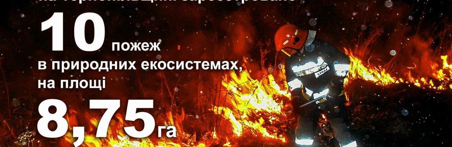 Почалося: на Тернопільщині знов палає трава гектарами