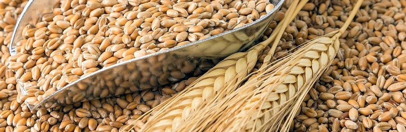 "Українці мають споживати чистий продукт": "Тернопільський КХП" від... "Українці мають споживати чистий продукт": "Тернопільський КХП" відновлює свою роботу