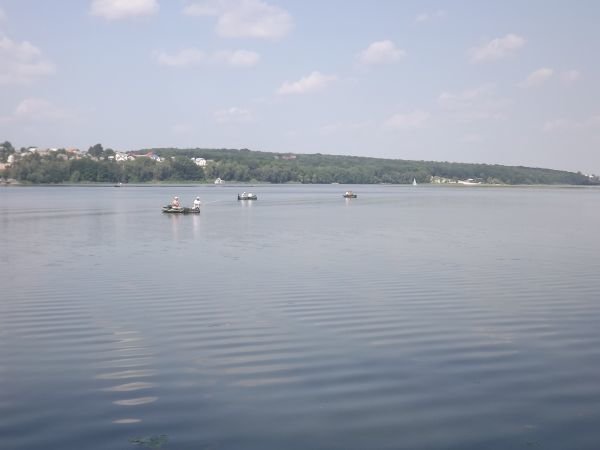 DSCF0230