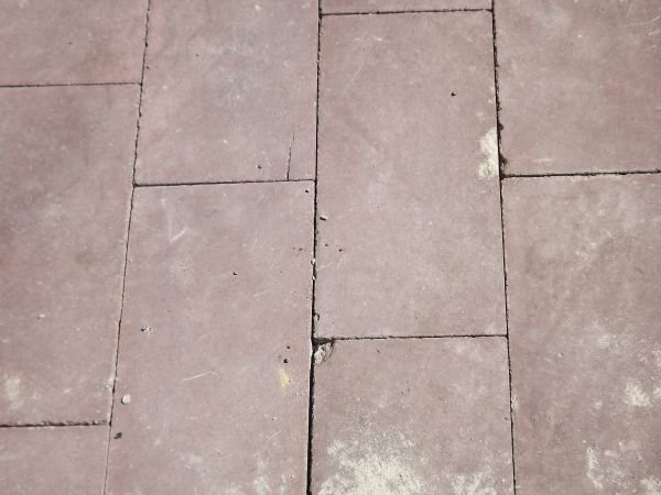 DSCF4957